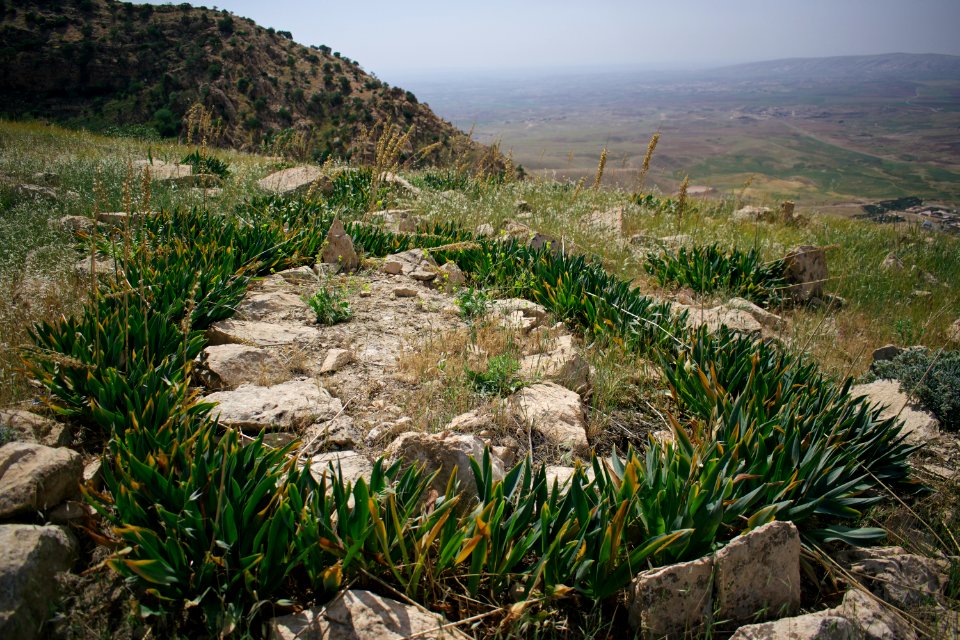 Views around the exterior of the Monastery of Saint Matthew 06