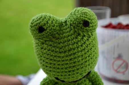 Frog crochet nature