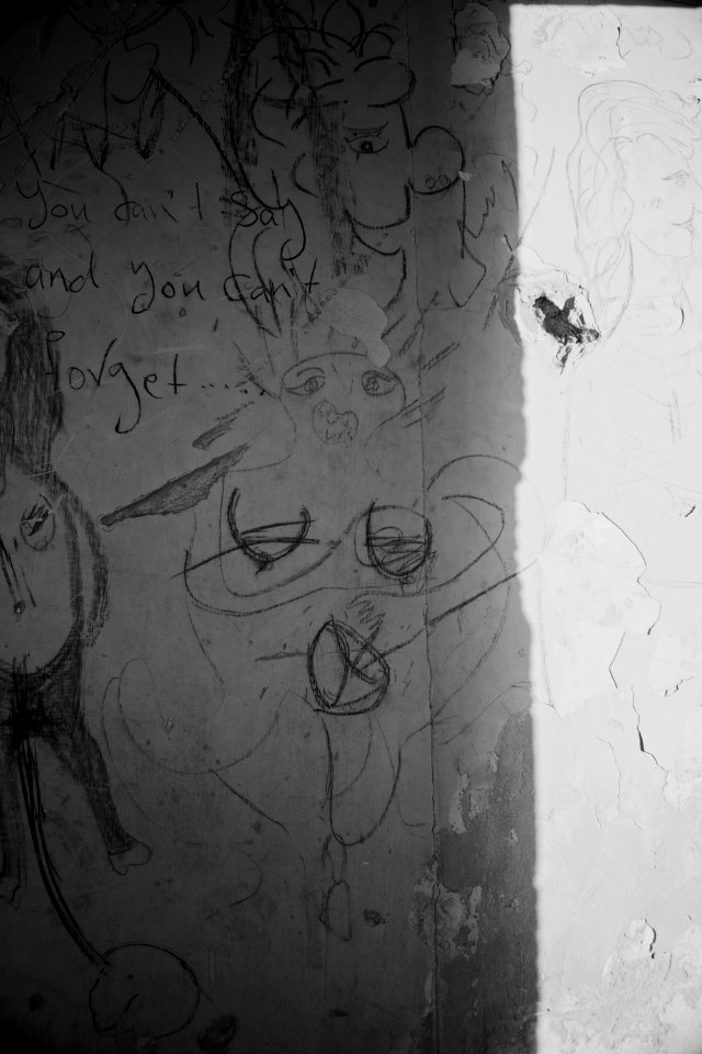 Views and details of Saddam Hussein's destroyed and vandalized villa near Sirsing 20