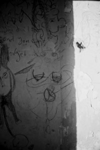 Views and details of Saddam Hussein's destroyed and vandalized villa near Sirsing 20