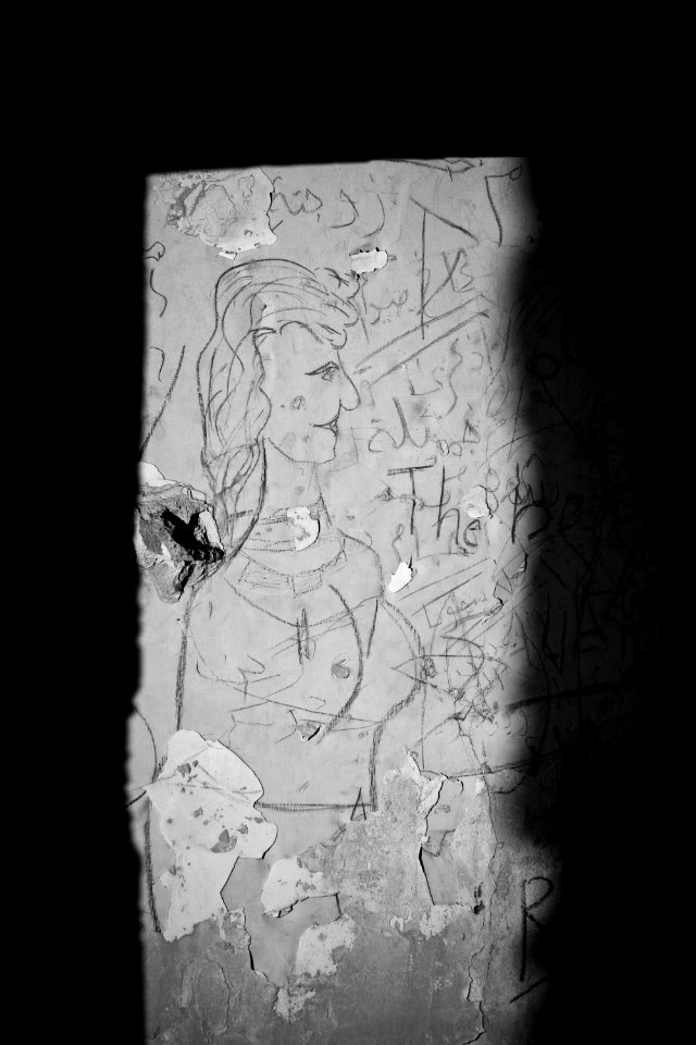 Views and details of Saddam Hussein's destroyed and vandalized villa near Sirsing 21