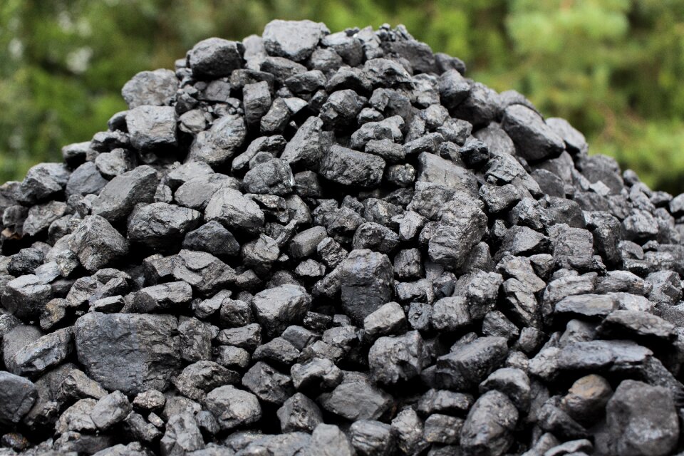 Briquettes fire barbecue