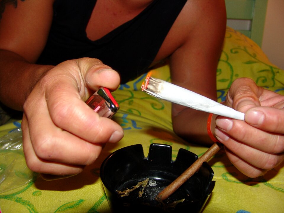 Cannabis smoking marijuana