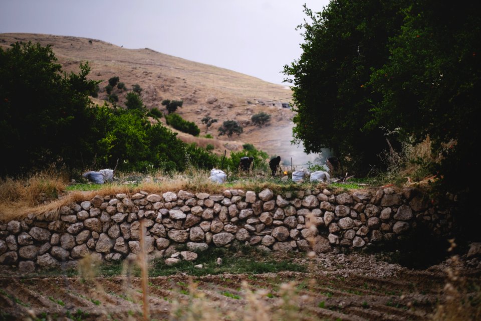 Views in June of 2019 around the tobacco fields atop Shingal Mountain 06