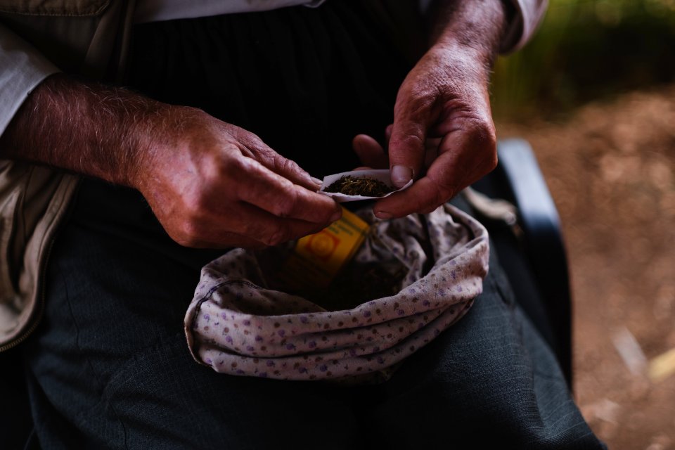 Views in June of 2019 of an Ezidi man in Sardashte Camp for displaced Ezidis rolling a cigarette with tobacco grown nearby atop Shingal mountain 07