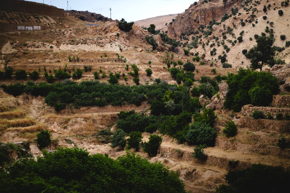 Views in June of 2019 around the tobacco fields atop Shingal Mountain 14