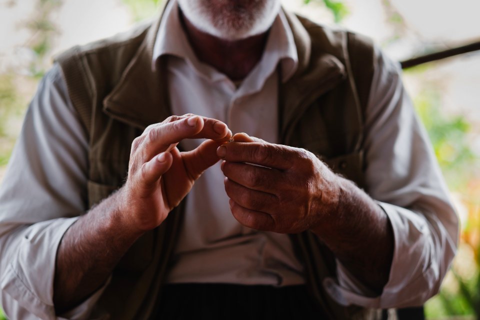 Views in June of 2019 of an Ezidi man in Sardashte Camp for displaced Ezidis rolling a cigarette with tobacco grown nearby atop Shingal mountain 24