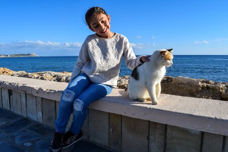 Cat stray communication
