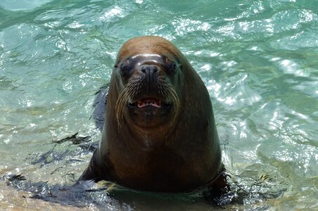 Zoo aquatic fun