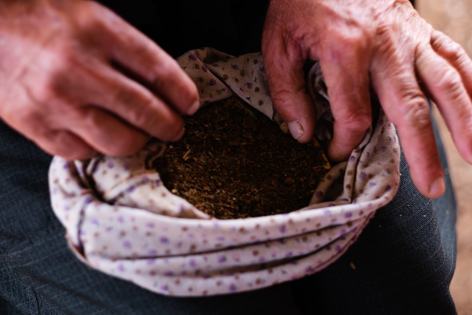 Views in June of 2019 of an Ezidi man in Sardashte Camp for displaced Ezidis rolling a cigarette with tobacco grown nearby atop Shingal mountain 26