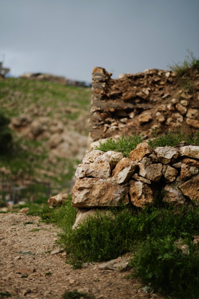 Views of the area surrounding "Makan Shekh Adi" near Sardashte Camp atop Shingal mountain 06