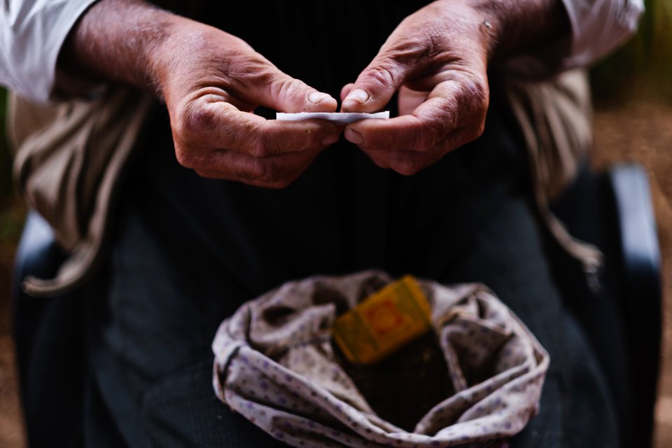 Views in June of 2019 of an Ezidi man in Sardashte Camp for displaced Ezidis rolling a cigarette with tobacco grown nearby atop Shingal mountain 34