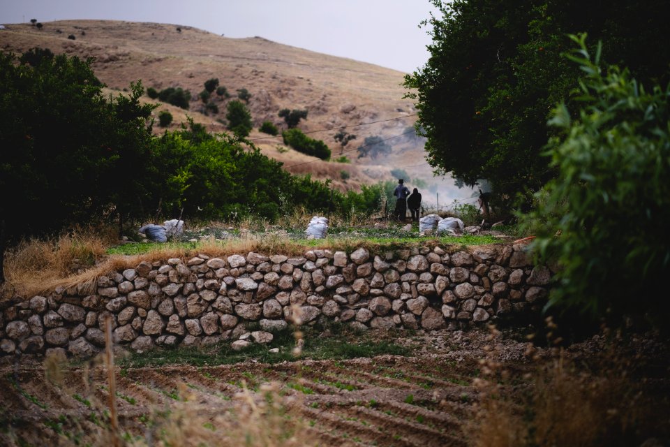 Views in June of 2019 around the tobacco fields atop Shingal Mountain 04