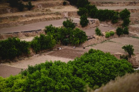 Views in June of 2019 around the tobacco fields atop Shingal Mountain 15