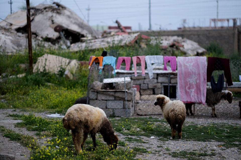 Views in May 2019 around Shingal's city center and old city 05