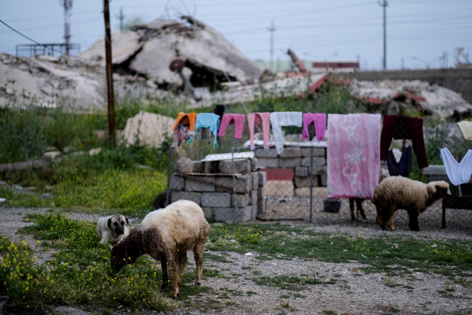 Views in May 2019 around Shingal's city center and old city 06