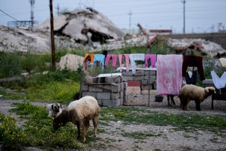 Views in May 2019 around Shingal's city center and old city 06
