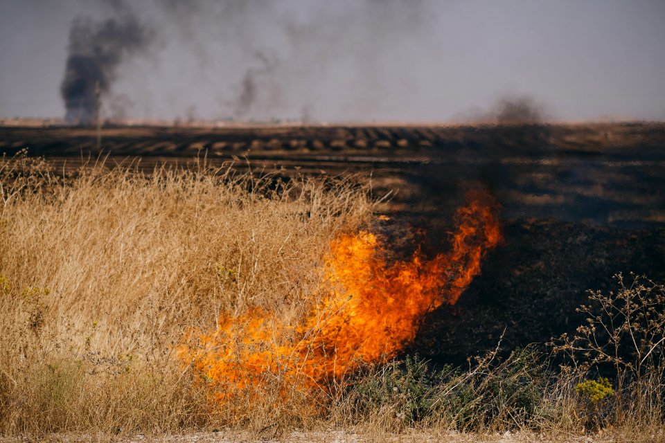 Views of the field fires in Sinjar in summer of 2019, and their aftermath 36