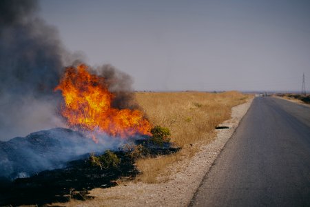 Views of the field fires in Sinjar in summer of 2019, and their aftermath 32