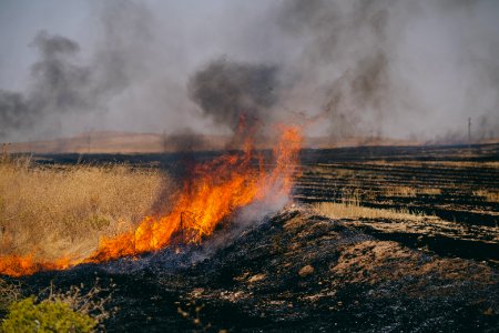 Views of the field fires in Sinjar in summer of 2019, and their aftermath 33