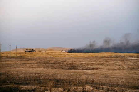 Views of the field fires in Sinjar in summer of 2019, and their aftermath 08