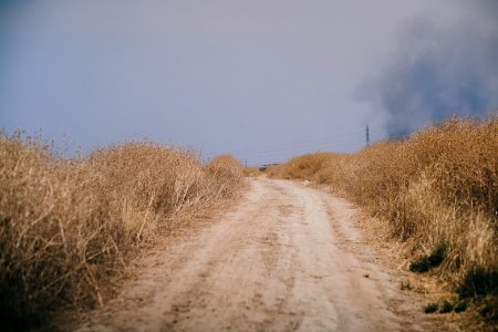 Views of the field fires in Sinjar in summer of 2019, and their aftermath 03