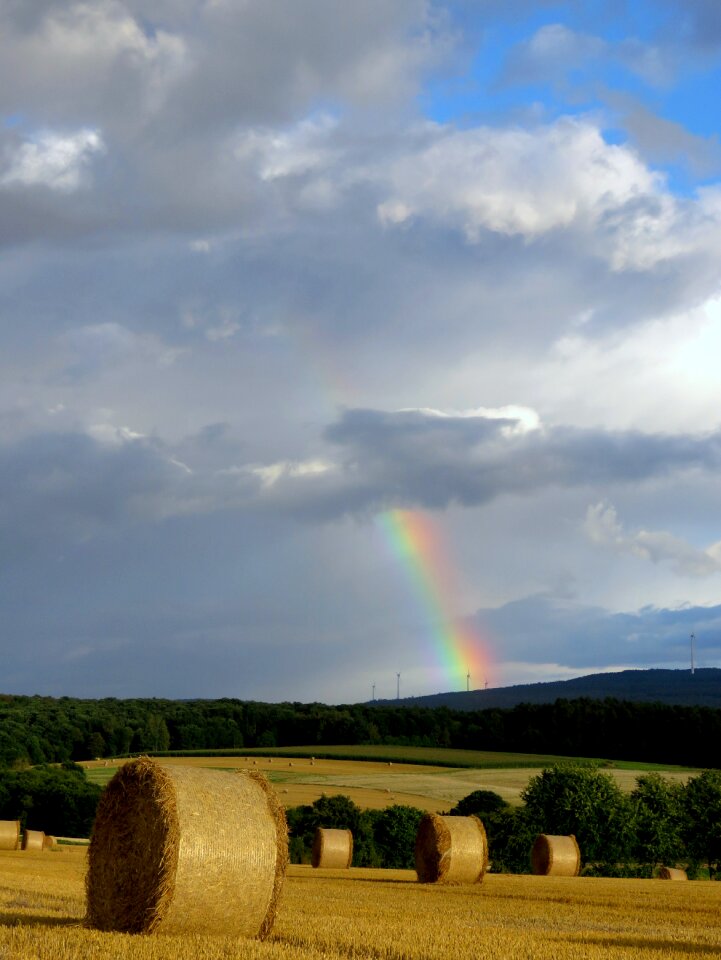 Harvest agriculture straw bales
