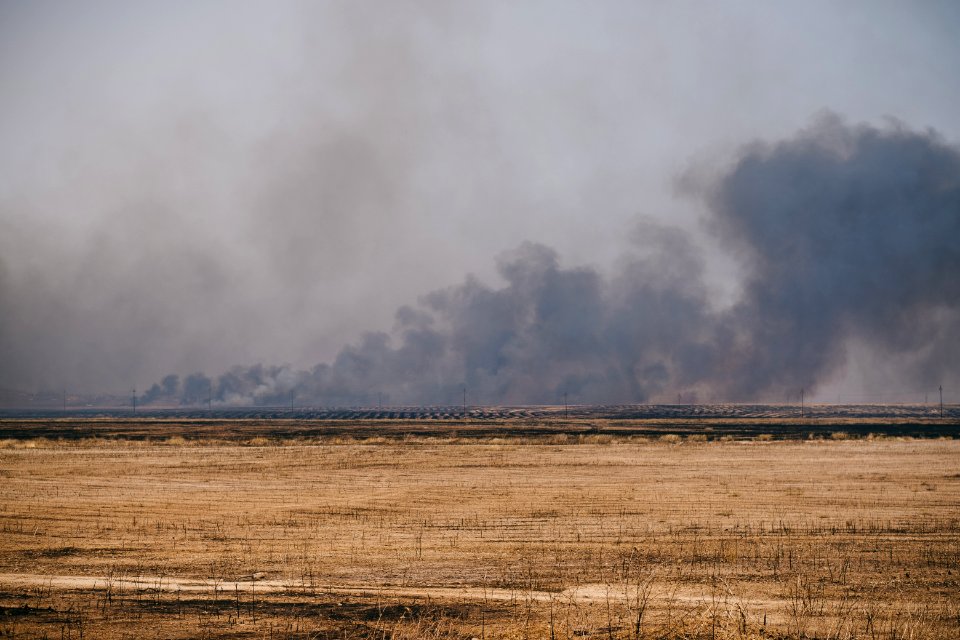 Views of the field fires in Sinjar in summer of 2019, and their aftermath 10