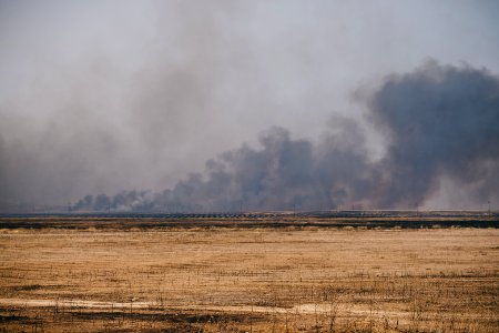 Views of the field fires in Sinjar in summer of 2019, and their aftermath 10
