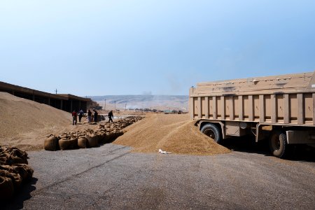 Views of the governmental grain depot in summer of 2019 in Shingal where Ezidi laborers are packing grain 06