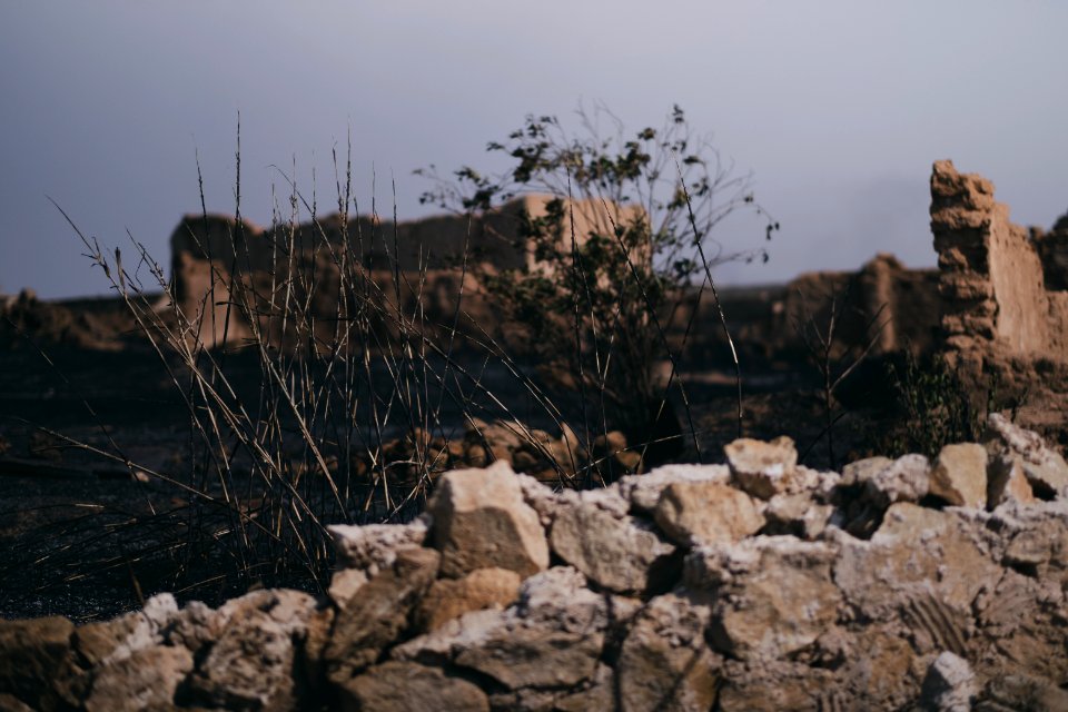 Views of the Ezidi village Hardan in Sinjar District, burned in 2019 in the summer fires 06