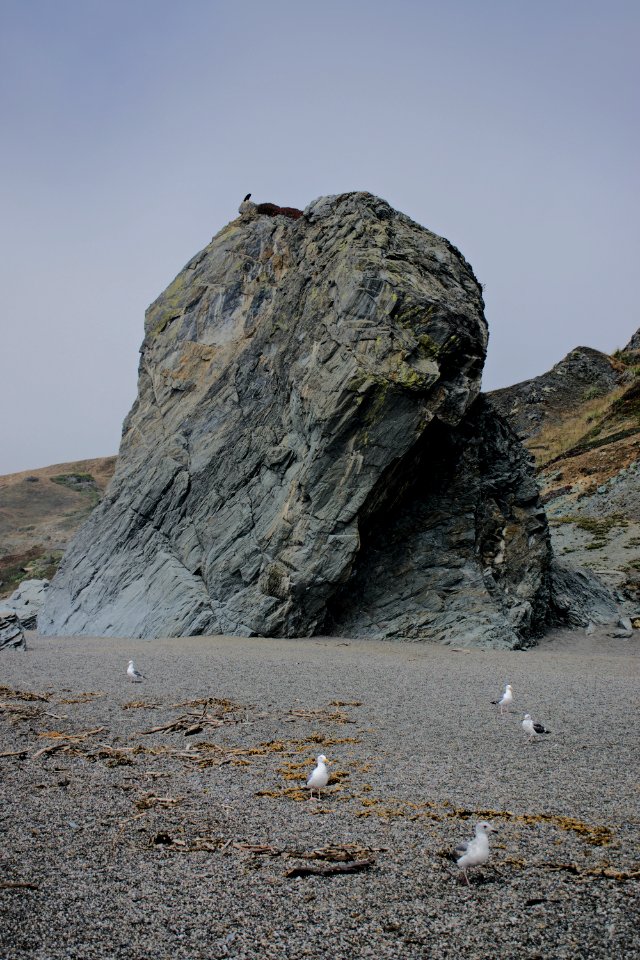 Views of Bodega Bay in Sonoma County, California 09