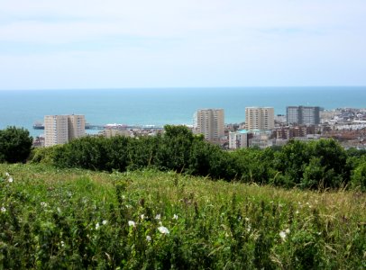 Views of Brighton - Kemptown area seen from Whitehawk Hill, Brighton (July 2015)