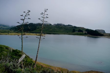 Views of Bodega Bay in Sonoma County, California 19