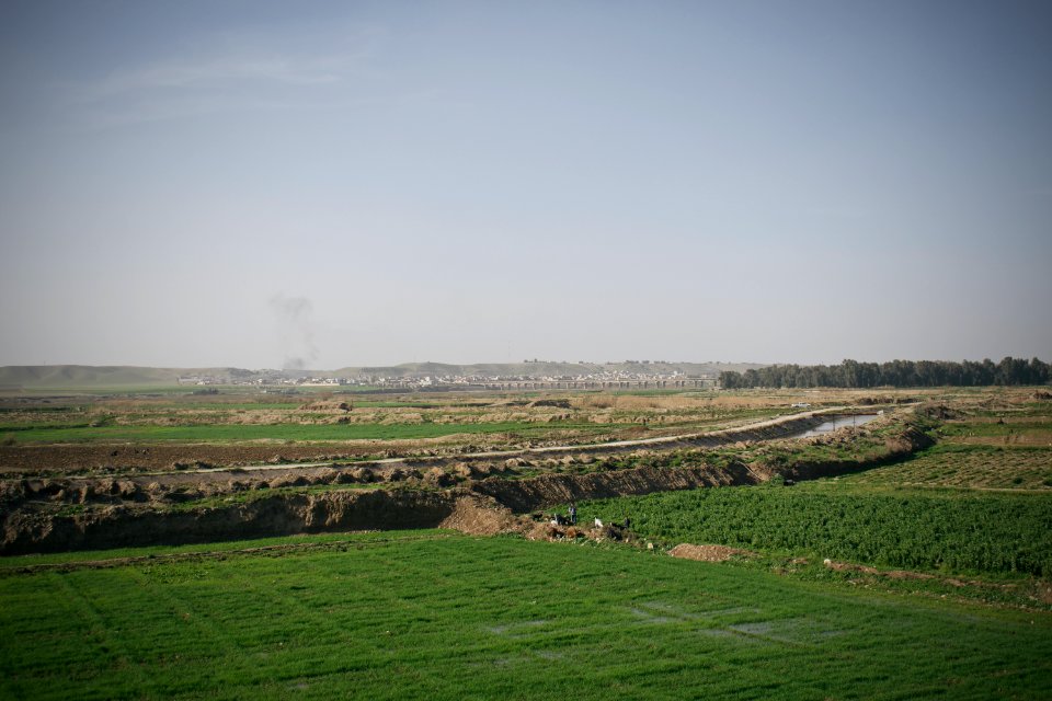 Views of fields outside Suffaya 02