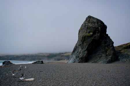 Views of Bodega Bay in Sonoma County, California 08