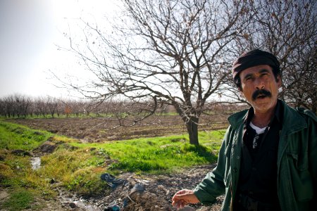 Views of fields outside Suffaya 12