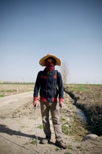 Views of fields outside Suffaya 16