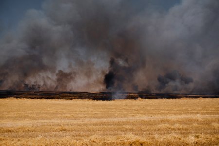Views of fires in summer of 2019 in Sinjar 04