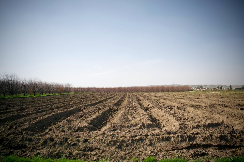 Views of fields outside Suffaya 04