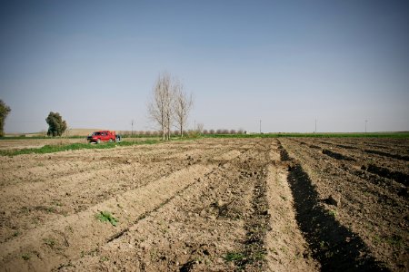 Views of fields outside Suffaya 03
