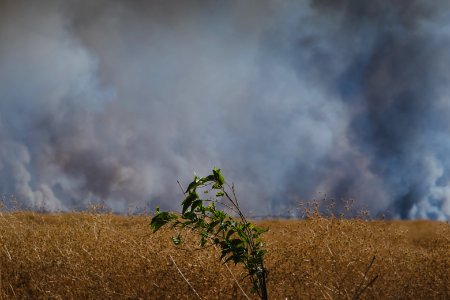Views of fires spreading in summer of 2019 across villages near Shingal, being put out by Ezidi volunteers 07