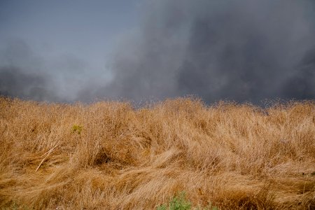 Views of fires in summer of 2019 in Sinjar 06