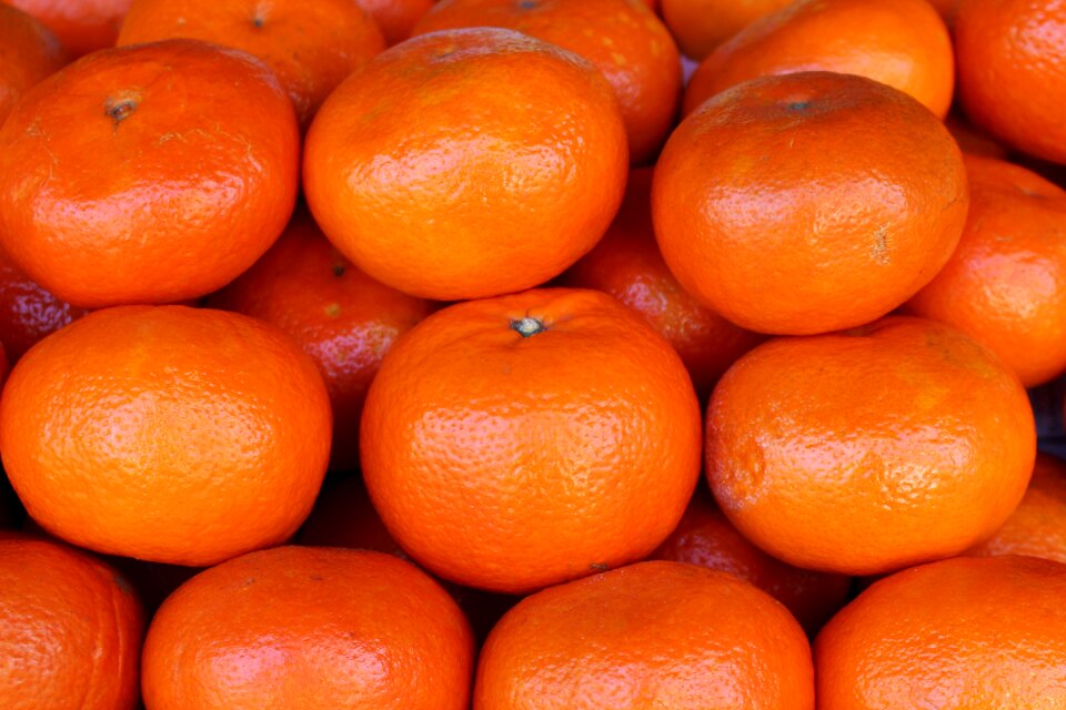 Citrus fresh juicy