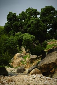 Views of the "Makan Shekh Adi" near Sardashte Camp atop Shingal mountain, where Shekh Adi visited before going to Lalish 16