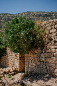 Views of the 'Khani Ezidi' rest house at Lalish 12
