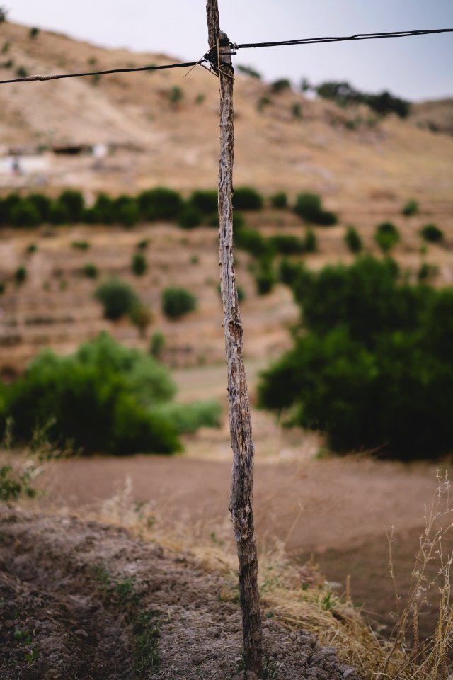 Views in June of 2019 around the tobacco fields at the top of Shingal Mountain 32