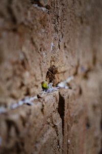 Views in October of 2019 of the Western Wall in the Old City of Jerusalem 01