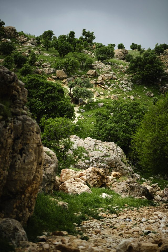 Views of the "Makan Shekh Adi" near Sardashte Camp atop Shingal mountain, where Shekh Adi visited before going to Lalish 17