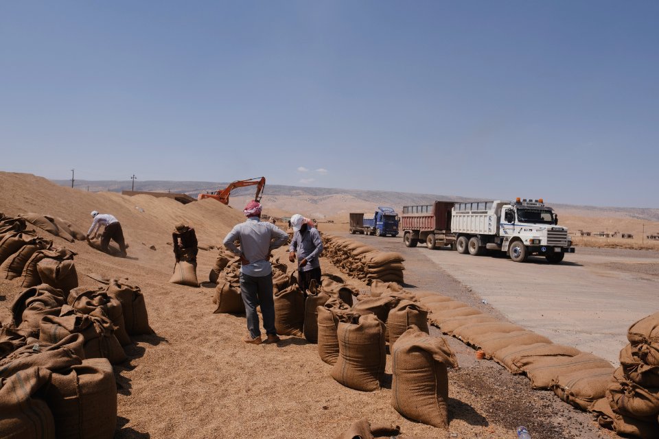 Views of the governmental grain depot in summer of 2019 in Shingal where Ezidi laborers are packing grain 02
